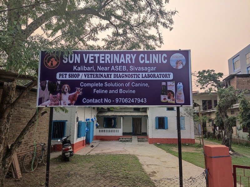 Sun Veterinary Clinic