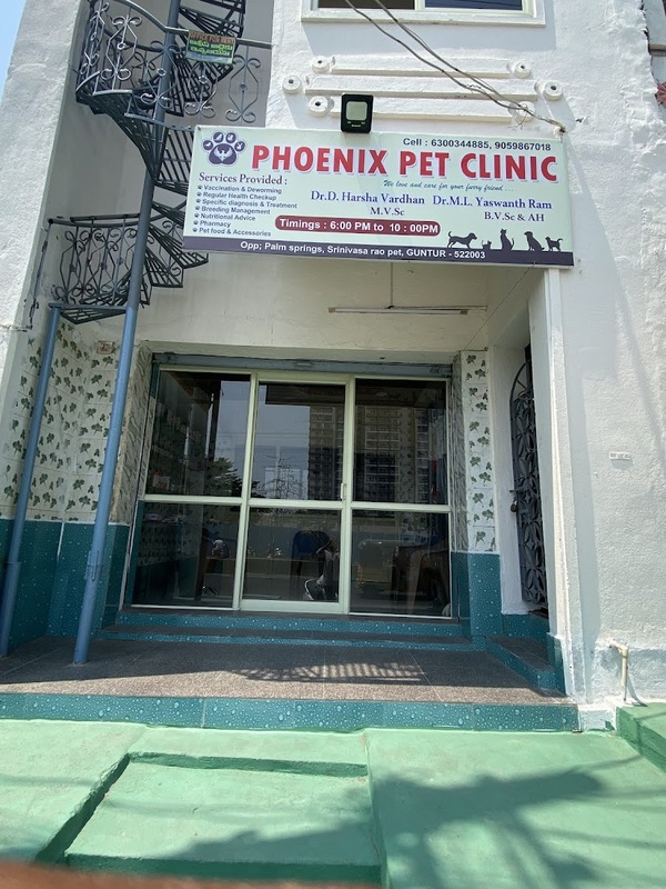 PHOENIX PET CLINIC