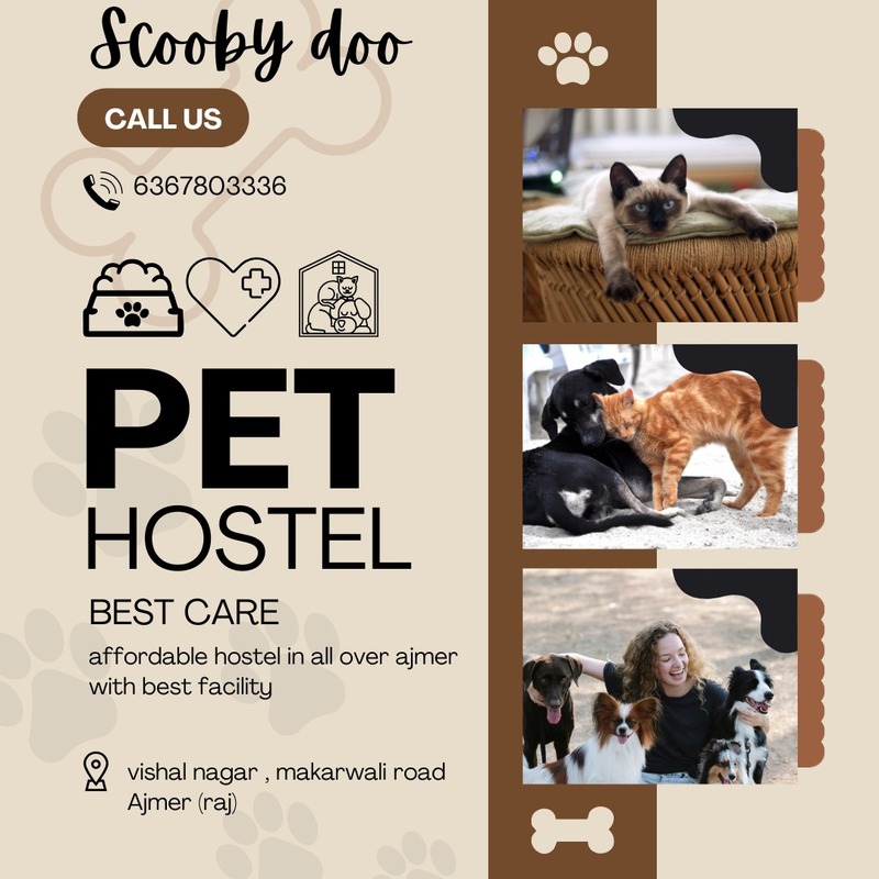 Scooby Pet Hostel