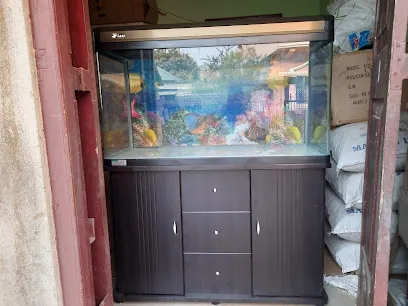 S B Aquarium