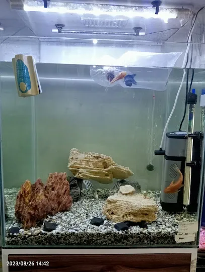 A.P Fish Aquarium