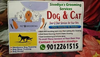 Agra, Surendra Sisodiya Dog & Cat Grooming & Training