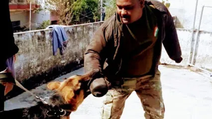 K9 Yadav Dog Trainer Centre