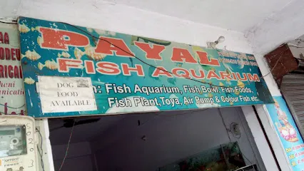 Payal Fish Aquarium | Agra's Trusted Fish Store