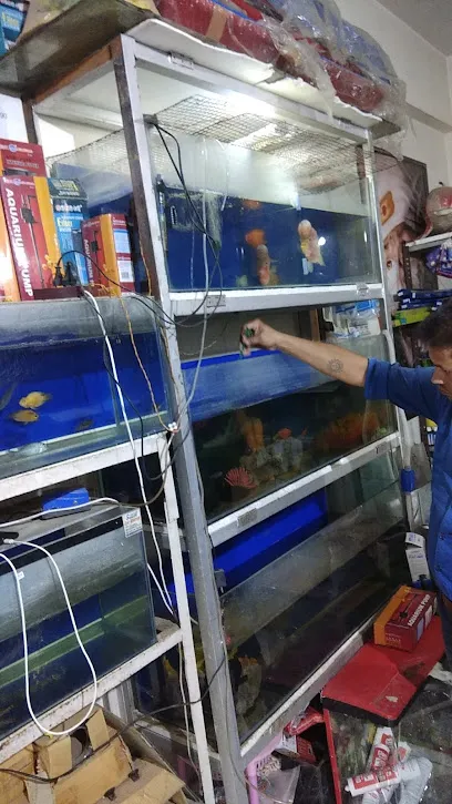 Sunil Fish Aquarium