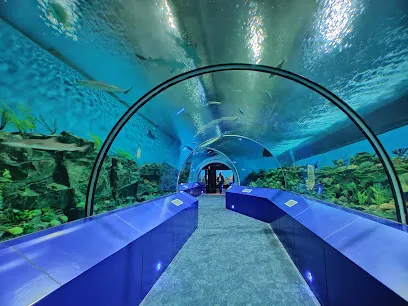 Aquatic Gallery - Science City