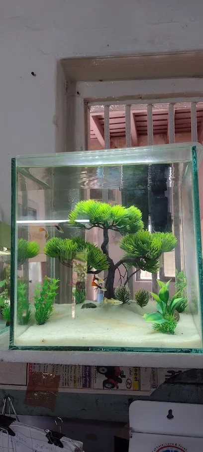 Kalrav Fish Aquarium