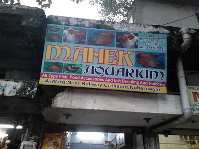 Mahek Aquarium