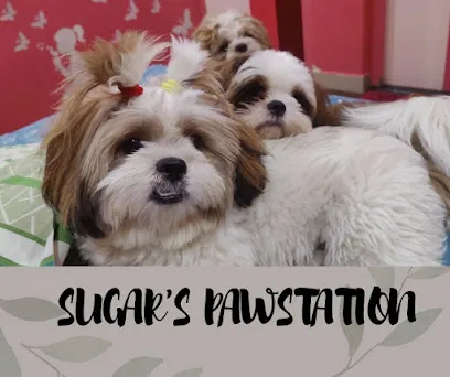 Sugar Pawstation Dog & Pets Home Boarding