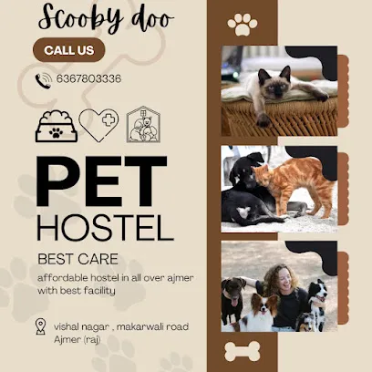 Scooby Pet Hostel