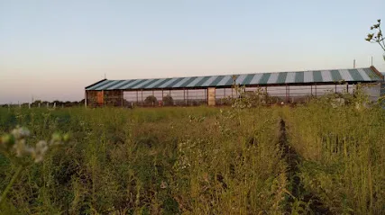 Golden Bird Livestock Farm