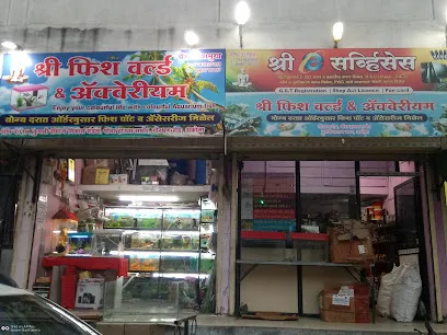 Shri Fish World And Aquarium