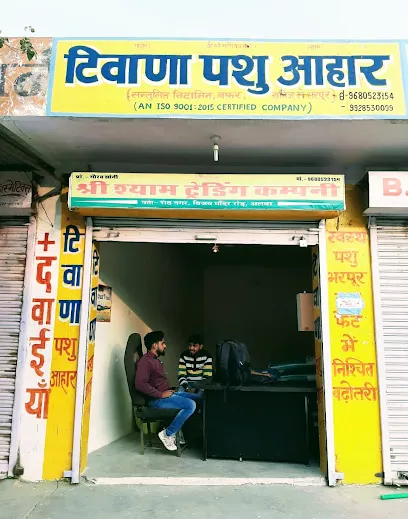 Shree Shyam Trading Company