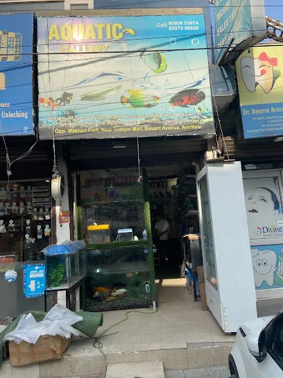 Aquatic Gallery (Fish Aquarium Store)