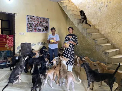 Ashiyana Animal Rescue