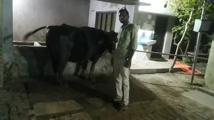 Cow Mat In Bahraich