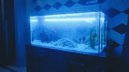 Vastu Aquarium