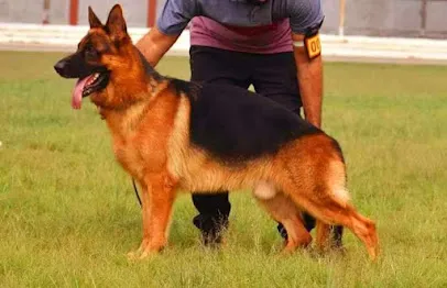 Kashyap Kennel