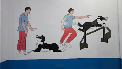 Smart Dog Training