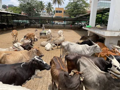 Akhil Karnataka Prani Daya Sangh Gaushala