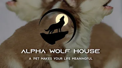 Alpha Wolf House