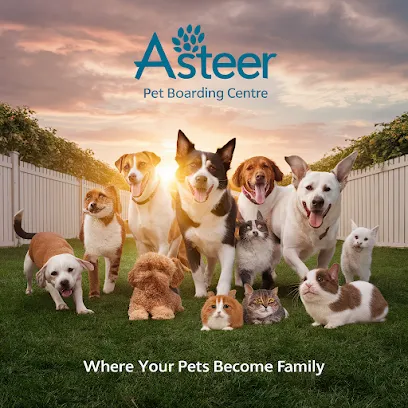 Asteer Pet Boarding Centre