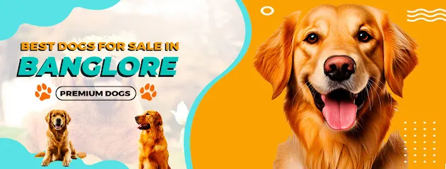 Best Dogs For Sale In Bangalore