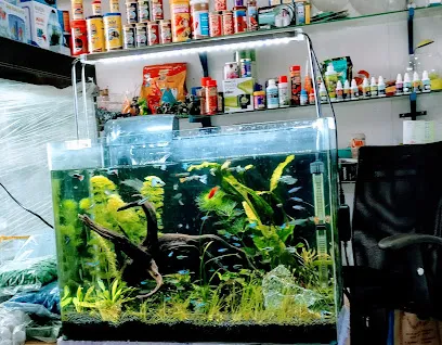 Blue Lagoon Aquarium & Pet Shop