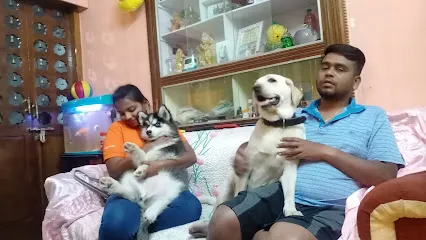 Dilip Pet Boarding And Daycare