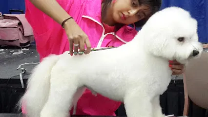 Fuzzy Wuzzy - Pet Styling Studio & Spa - Pet Grooming School