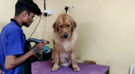 Golden Pawz - Pet Salon & Spa