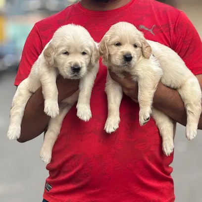 Golden Wings Kennel, Bangalore