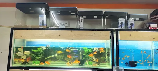 Jayanagar Fish World