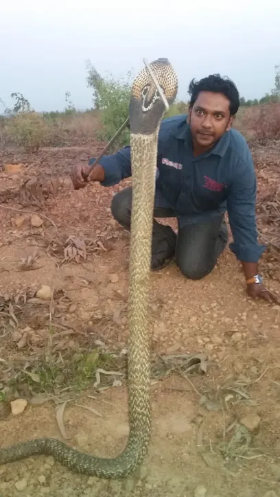 Mohammed Asif Wildlife Rescuer