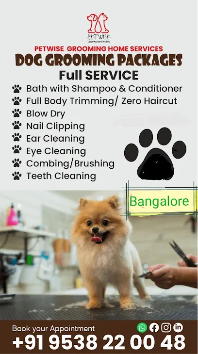 Petwise Grooming Home Service