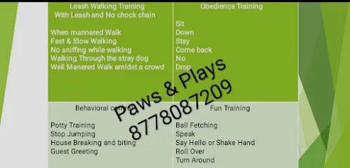 Play With Paws Dog Training And Boarding Loc 2