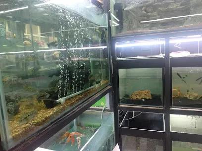 S N Fish Paradise Aquarium