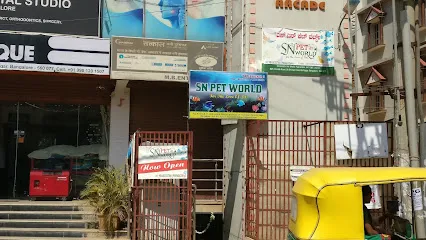 S N Pet World