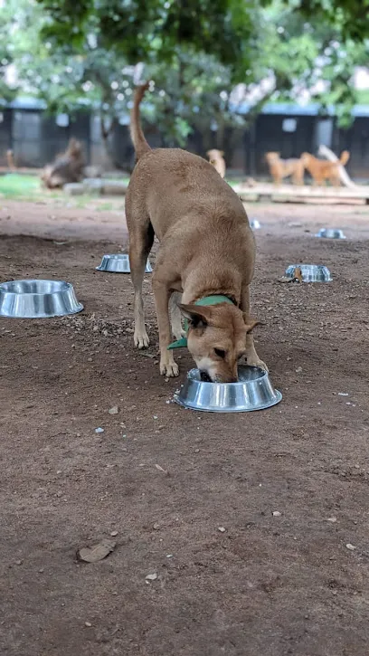 Second Chance Sanctuary