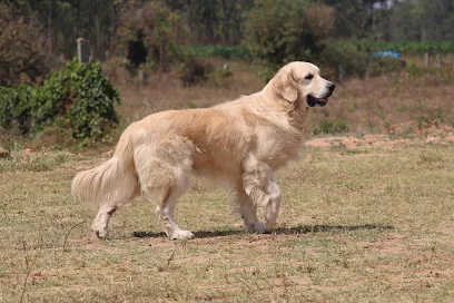 The Bangalore Pet House