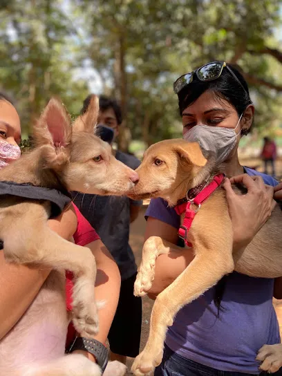 The Weekend Dog Park @ Cubbon Park