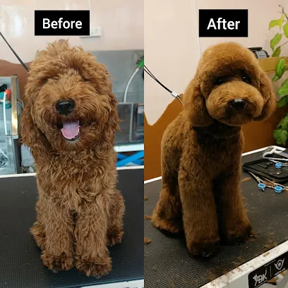 Therpup Pet Salon & Spa| Whitefield