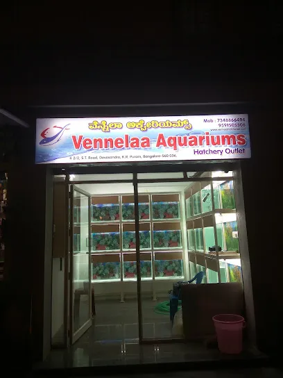 Vennelaa Aquariums