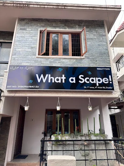 What A Scape Bangalore Aquarium Shop