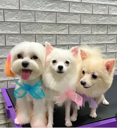 Woof Magic Spa