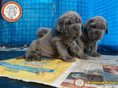 Wrinklecub Kennel