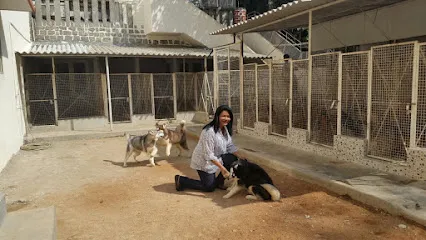 Yashbans Kennels