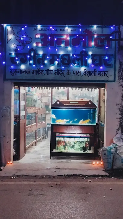 Anmol Rangeen Machhali Ghar Fish & Aquarium Shop