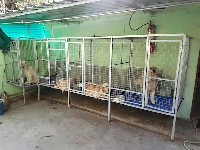 Bhilai Dog Kennel