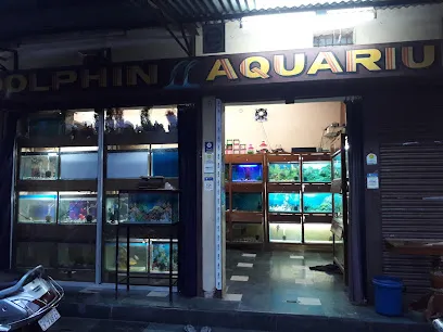 Dolphin Aquarium